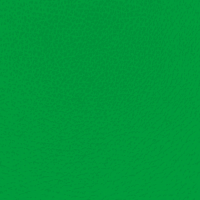 (1547) Aspecto de cuero verde