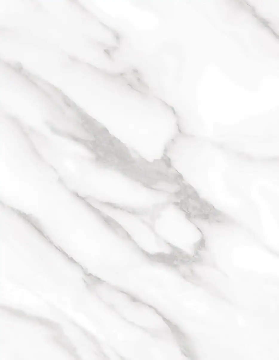 (2369) HR - NE31 Statuary White - (Mate)