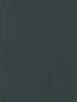 HR - CT58 Faded Grey 