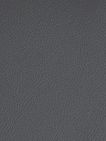 (2556) LP04 - Graphite - (Mate)