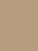 NE55 - Caffe Latte
