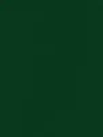 NE83 - Evergreen