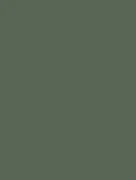 NH08 - Forest Green