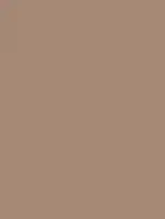 (2255) NH12 - Baked Clay - (Mate)