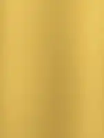 (2608) NL2 - Mirror Gold - (Metálico)