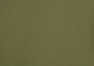 Vinilo decorativo verde oliva (Mate) - DFC2